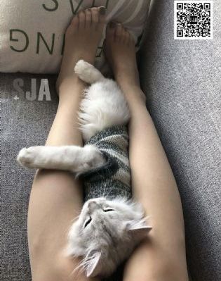 78版日版西游记未删减版在线观看_剧情片韩国电影在线观看