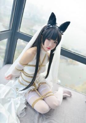 他来时有月光短剧_国产剧高清完整版
